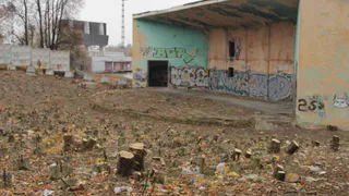 Самые грязные парки и скверы в Рязани – голосуем!