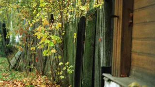 Золотая осень поцелует в макушку: Глоба назвал 3 знака Зодиака, которые сорвут жирный куш