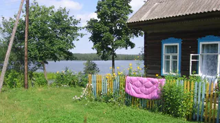 Наказывать будут по всей строгости: 2 растения на даче, за которые могут оштрафовать