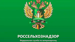 Россельхознадзор сообщил о задержании груза идущего в Белоруссию