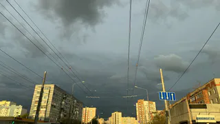 Торговые ряды XVIII века в Рязани выставили на аукцион за 184,5 млн рублей