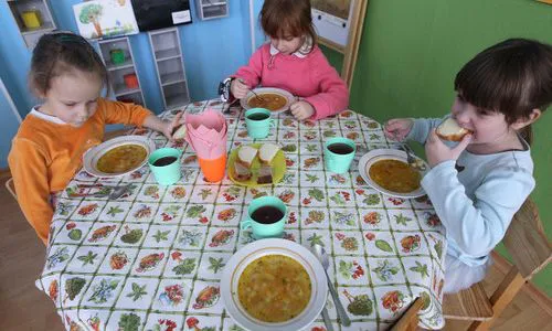 Чуть не отравили: в нижнекамском детском саду детей кормили просроченной курицей