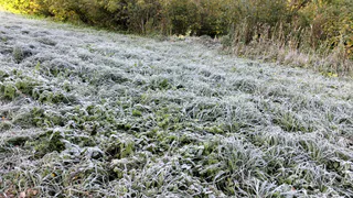 РСЧС предупреждает о похолодании в Татарстане до -8