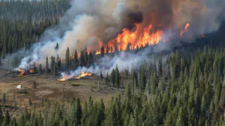 В Коми продолжают бороться с лесными пожарами: пять очагов на площади 70 гектаров
