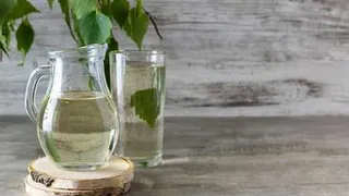 Правильно собираем березовый сок