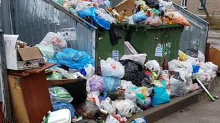 "Мусор разносится ветром по всему двору, звонки оператору не приносят результатов" - жители Приокского устали от печальной картины за окном