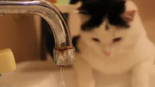 Список адресов: в среду две улицы Рязани останутся без воды