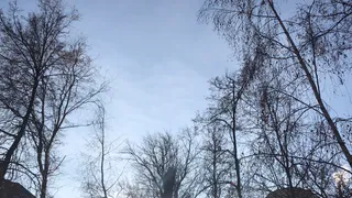 14 ноября в Рязанской области ожидается порывистый ветер и до +3