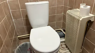 Никакие освежители не нужны: старый сантехнический трюк убирает запах в туалете за считанные секунды 