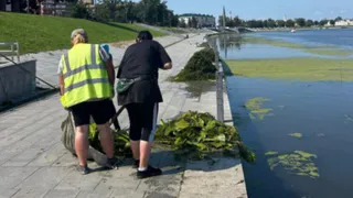 Суру вновь почистили от водорослей в районе набережной
