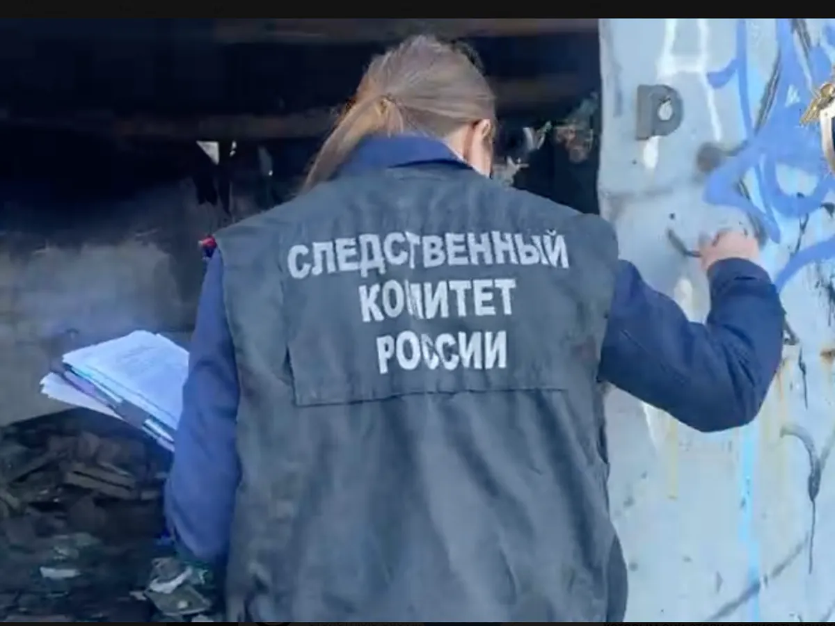 В Елабуге задержан подозреваемый в расчленении собутыльника