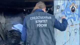 В Елабуге задержан подозреваемый в расчленении собутыльника