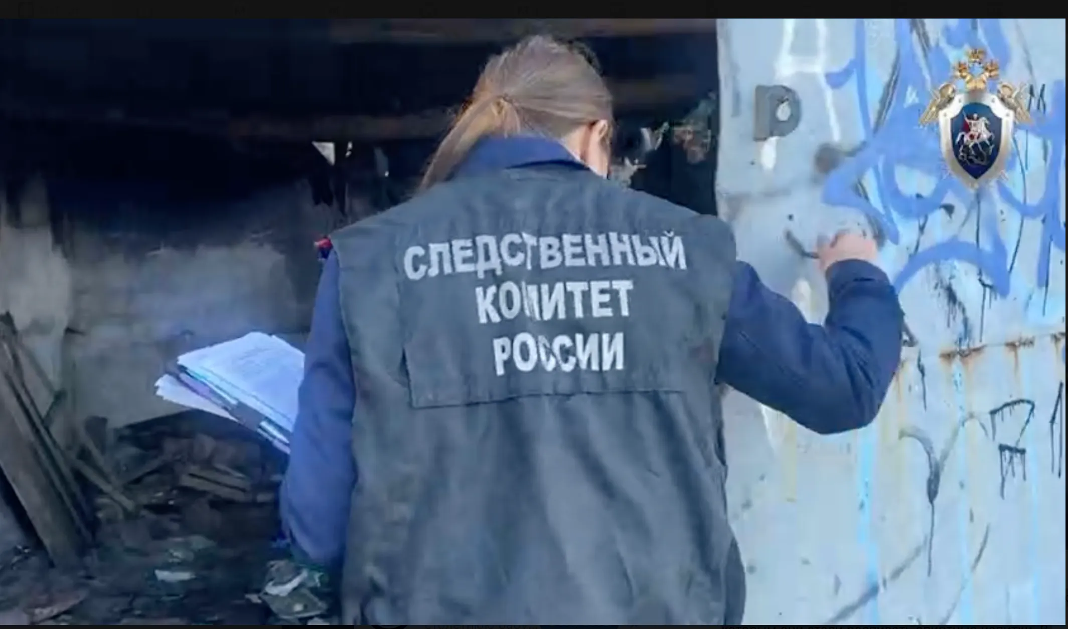 В Елабуге задержан подозреваемый в расчленении собутыльника