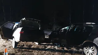 Двое взрослых погибли, двое детей ранены в лобовой аварии под Клинцами