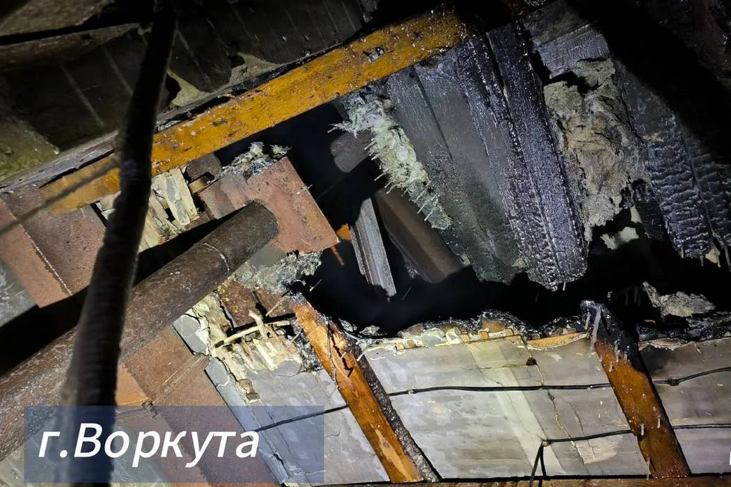 В одном из городов Коми сгорел приют для собак