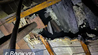 В одном из городов Коми сгорел приют для собак