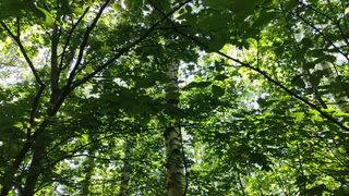 В Челябинской области ожидается потепление до +19 градусов, затем похолодание