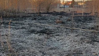 Пожарные из Карабанова дважды за сутки тушили возгорания сухой травы