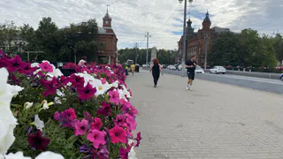 Проживёт с кем угодно: этот знак единственный, кто умеет строить семейное счастье с любым человеком