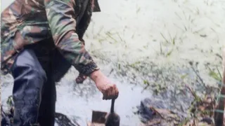 На грани вымирания: В Окском заповеднике рассказали о популяции русской выхухоли