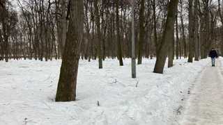 5 февраля в Рязанской области ожидается до +2