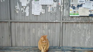 В Рязани поменяли названия трех остановок
