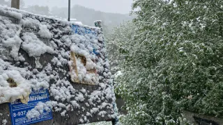 Будет еще одна волна холода: следующая неделя заставит одеться тепло, температура будет падать вниз