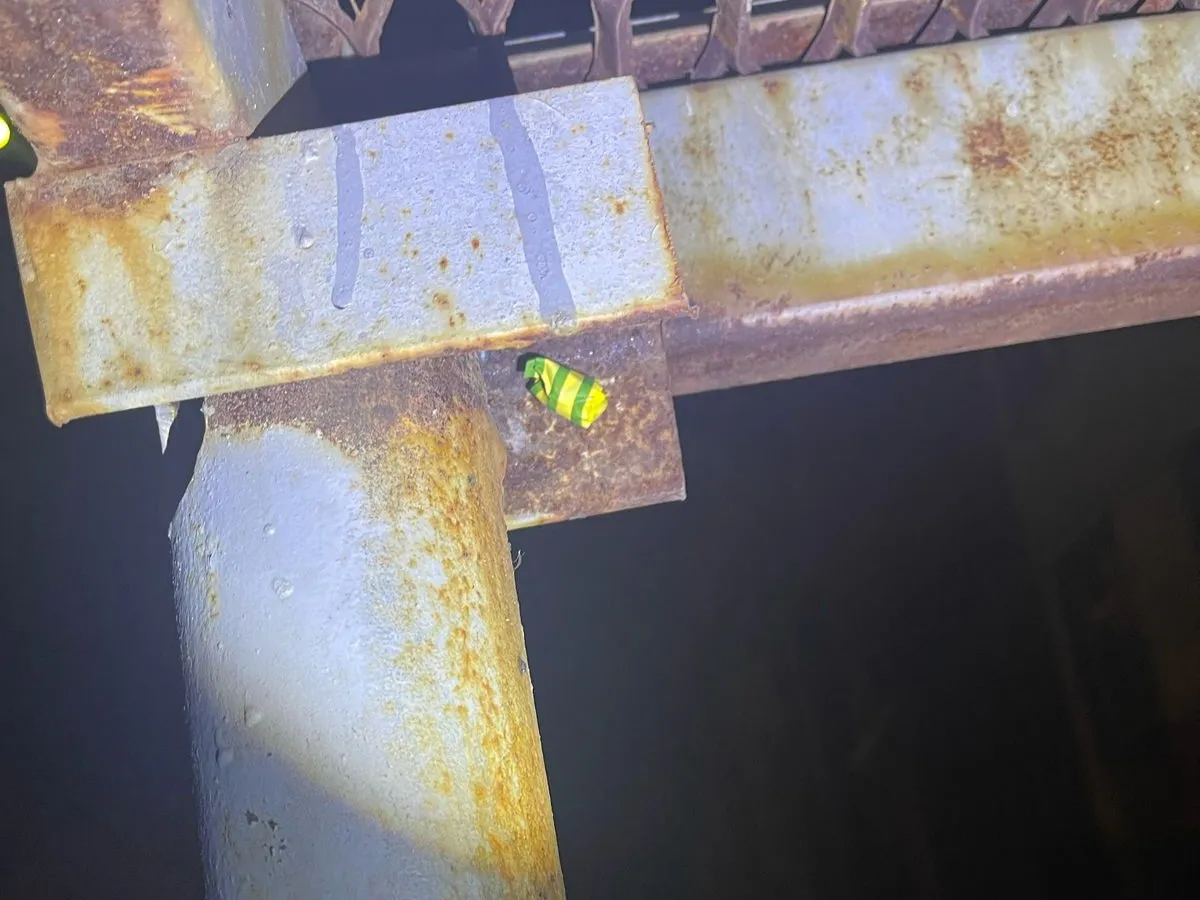 В Челябинской области полиция пресекла наркозакладки: девушка оказалась под стражей