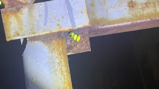 В Челябинской области полиция пресекла наркозакладки: девушка оказалась под стражей