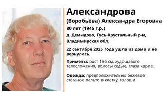 Во Владимирской области ищут пропавшую 80-летнюю женщину из деревни Демидово