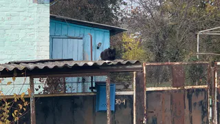 На улице Воровского в Пензе начался снос аварийного дома