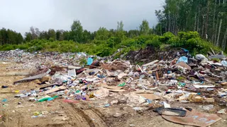 В Коми выявлено 18 несанкционированных свалок для последующей ликвидации