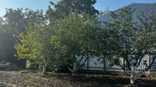 Дачники, сажаем эти овощи на огороде уже в ноябре: собираем в сезон шикарный урожай - агроном 