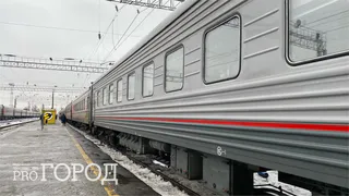 Женщина погибла под поездом в Рязани