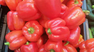 Храню перцы по 3 месяца: хитрый способ сохранить урожай до зимы — без потери вкуса и хруста