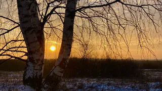 12 января в Рязанской области ожидается дождь и до -3