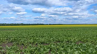 В Земетчинском районе Пензенской области суд обязал агрофирму устранить нарушения