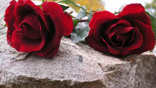 Найдены. Погибли