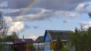 Одно из самых популярных растений у дачников запретили выращивать: с июня принят новый закон