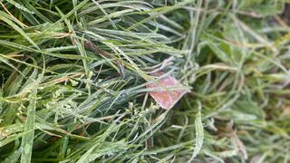 12 октября холодная погода устанавливается на всей территории Коми