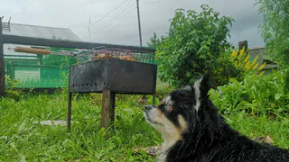 Отдохнуть не получится: Минтруд переносит майские каникулы - выходные изменили из-за непредвиденной ситуации