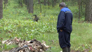 Грибники нашли в Рязани груду коровьих скелетов