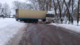 Водитель фуры врезался в дерево в Локте