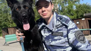 В Чебоксарах задержали вора-рецидивиста из Марий Эл, укравшего вещи из авто