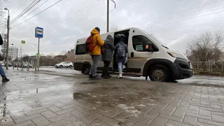 В Рязани водитель маршрутки высадил девочку посреди поля