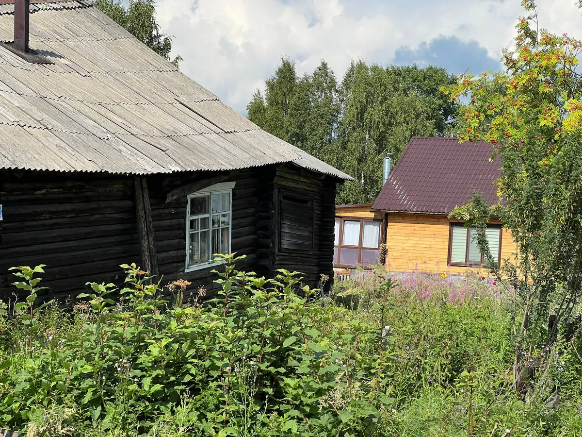 Без компенсации: адвокат раскрыл детали грядущего изъятия земель с 1 сентября