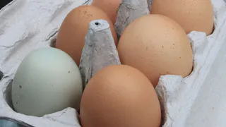 Скорлупа отходит сразу же: кидаю в воду при варке яиц это средство – идеально на оливье