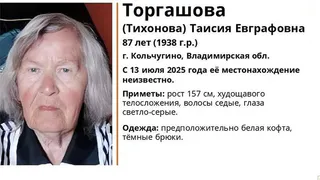 Владимирских водителей просят помочь в поисках 87-летней женщины из Кольчугина