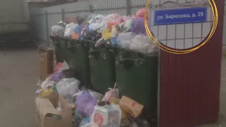 Вывоз мусора производится ежедневно: региональный оператор ответил на жалобу рязанца из-за переполненных мусорных баков