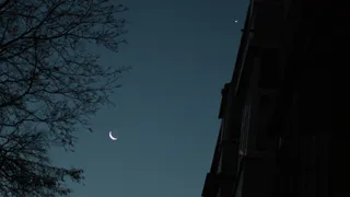 В Рязани запечатлели пепельный свет Луны на росте